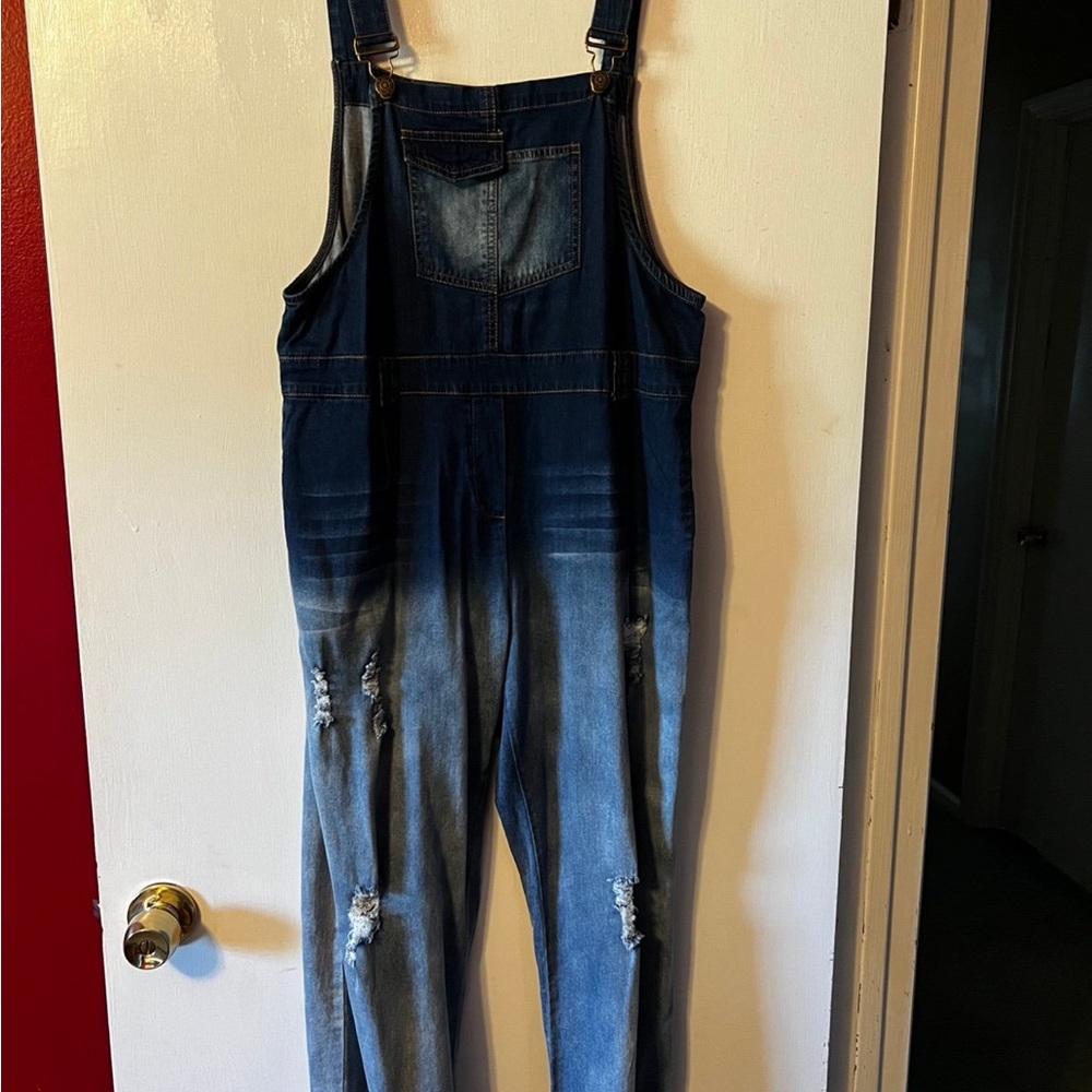 Stylish Blue Denim Overalls